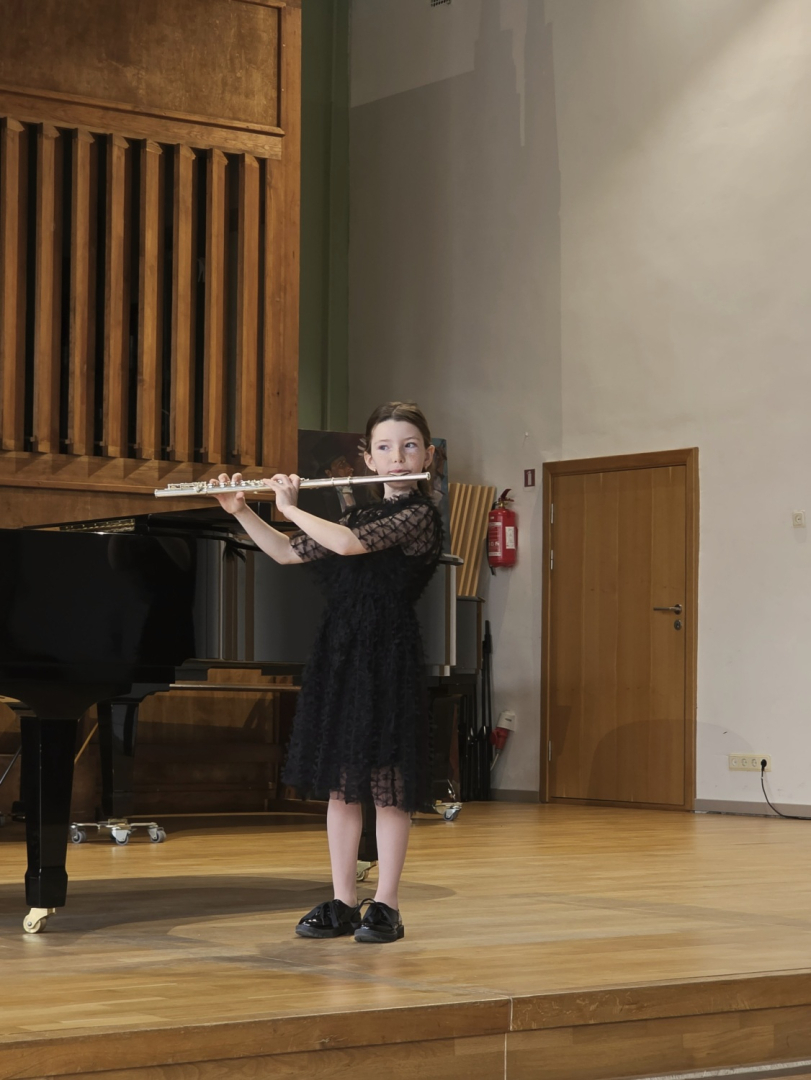IX Latgales mūzikas skolu IP Pūšaminstrumentu spēle, IP Sitaminstrumentu spēle konkurss
