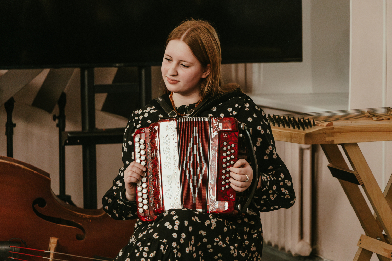 IP Mūzika (Tradicionālā mūzika) koncerts un Vakarēšana