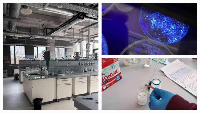 No eksperimenta līdz secinājumiem: jaunieši pēta mazgāšanas līdzekļu ietekmi uz veselību un vidi