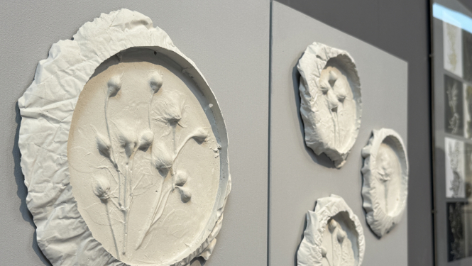 Izstāde "Mākslas grābiens"