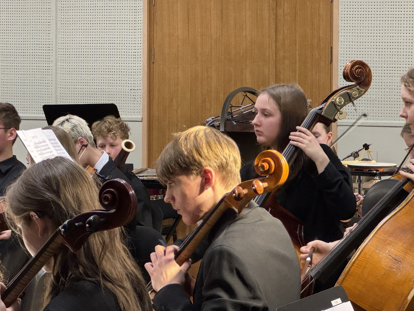 NMV EDMS simfoniskā orķestra koncerts Rēzeknē