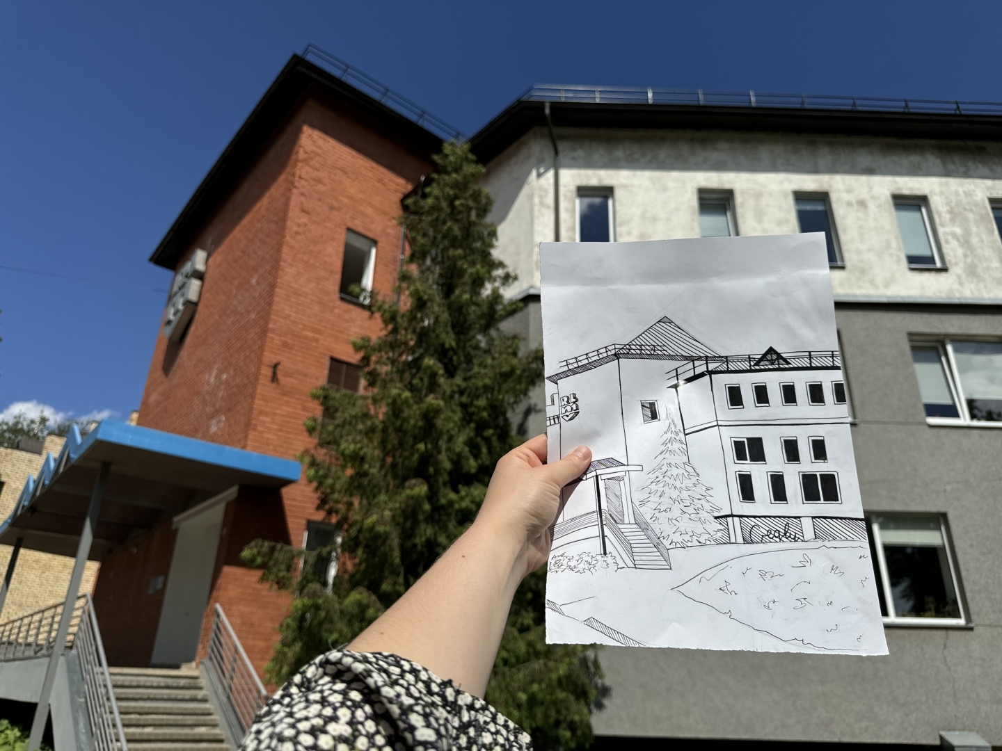IP Reklāma (Komunikācijas dizains) 1.kursa plenērs 2024