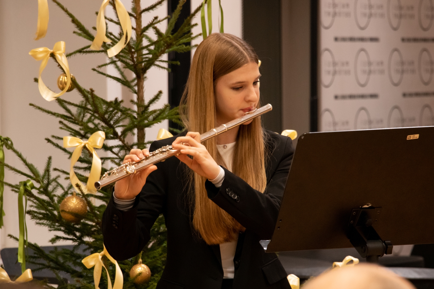 IP Taustiņinstrumentu spēle - Akordeona spēle Ziemassvētku ieskaņu koncerts vecākiem 11.12.2024.