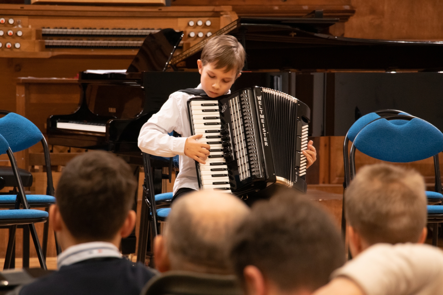 IP Taustiņinstrumentu spēle - Akordeona spēle Ziemassvētku ieskaņu koncerts vecākiem 11.12.2024.
