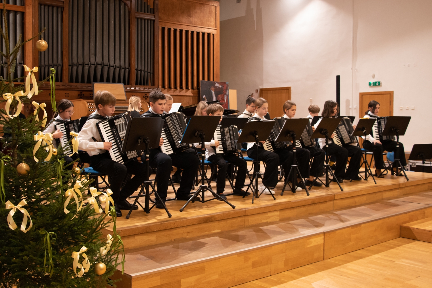 IP Taustiņinstrumentu spēle - Akordeona spēle Ziemassvētku ieskaņu koncerts vecākiem 11.12.2024.