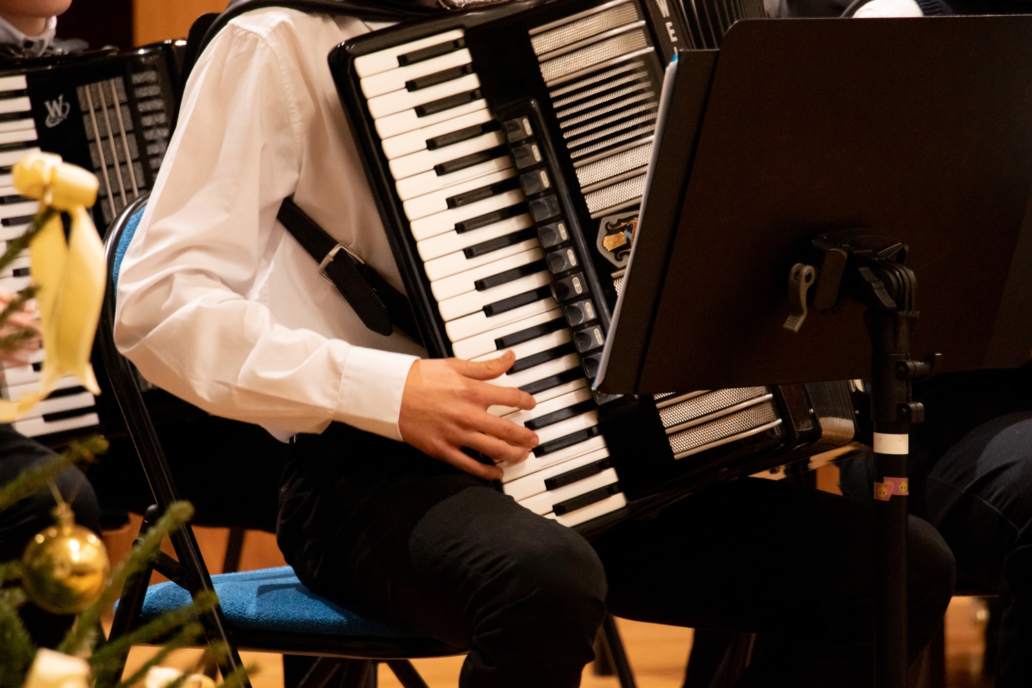 IP Taustiņinstrumentu spēle - Akordeona spēle Ziemassvētku ieskaņu koncerts vecākiem 11.12.2024.