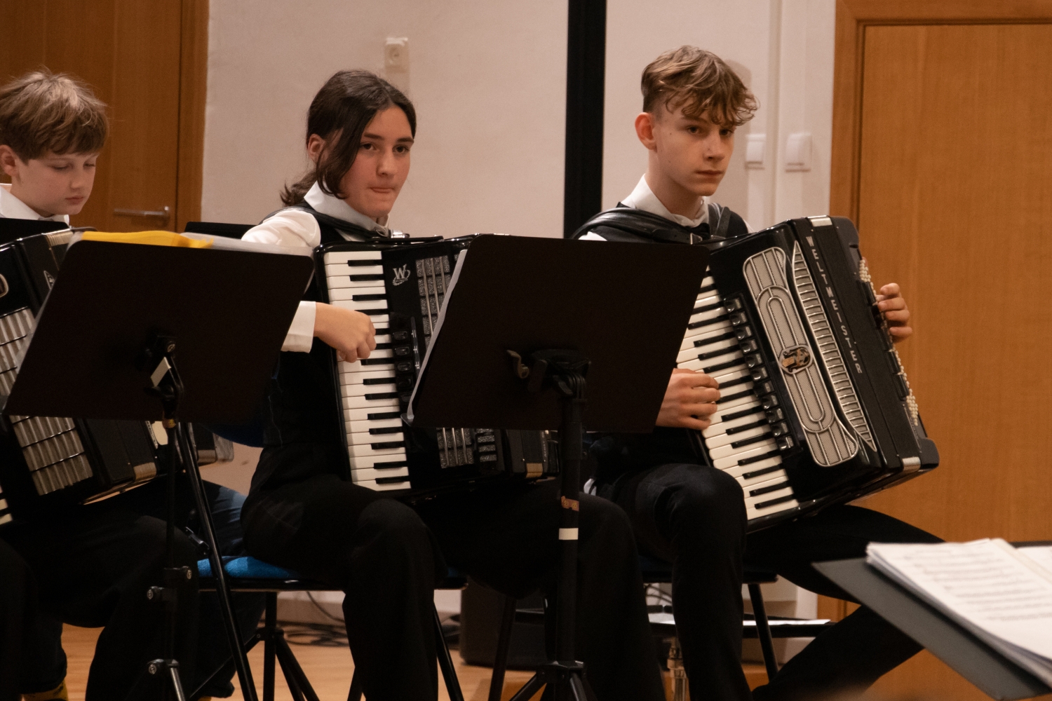 IP Taustiņinstrumentu spēle - Akordeona spēle Ziemassvētku ieskaņu koncerts vecākiem 11.12.2024.