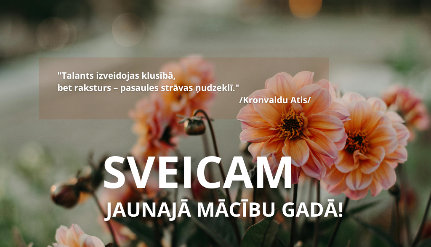 Zinību diena - sveiciens