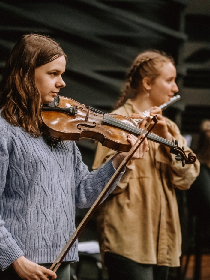 IP Stīgu instrumentu spēle