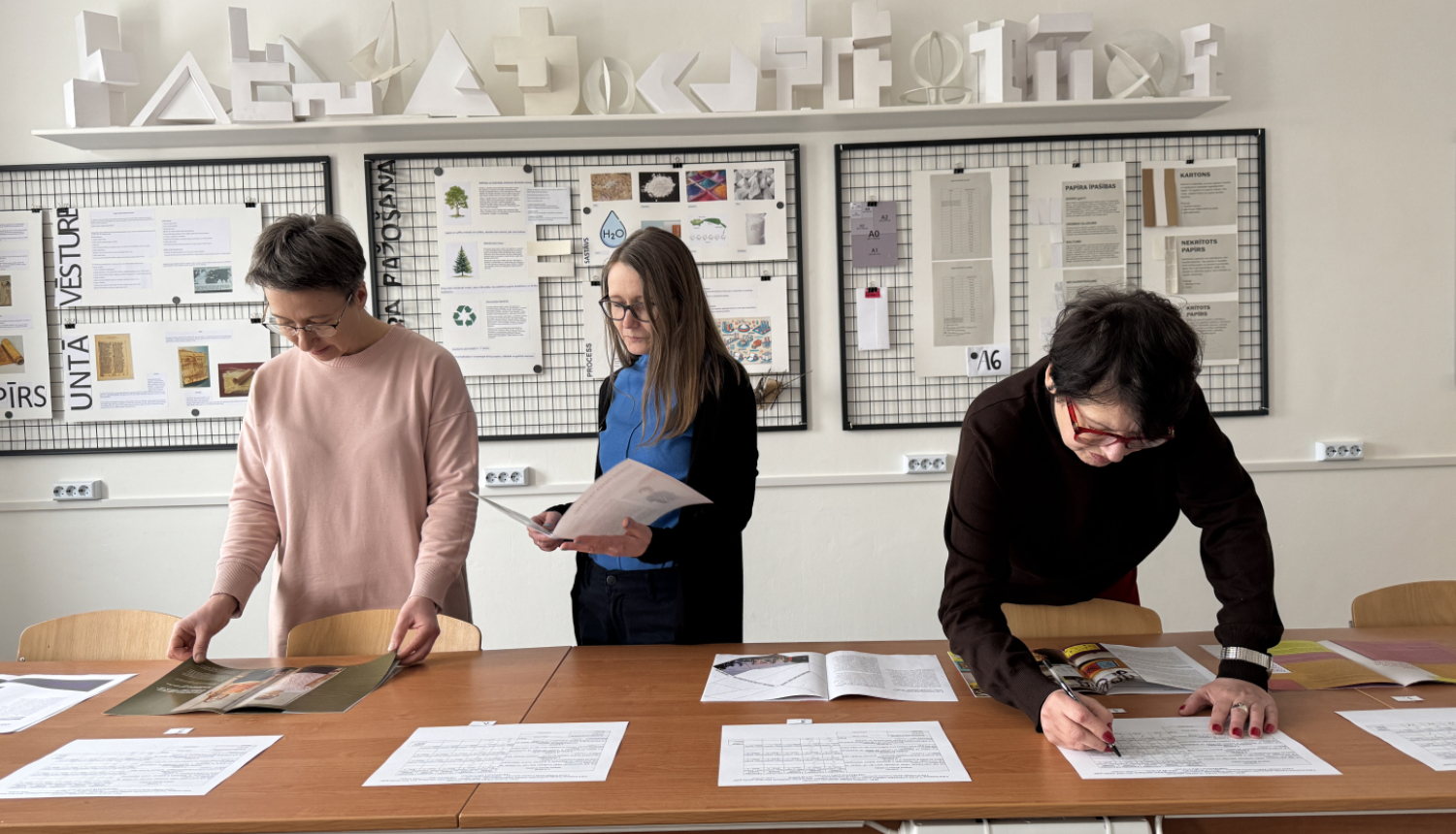 PEDAGOGU PROFESIONĀLĀ ATBALSTA SISTĒMAS IZVEIDE